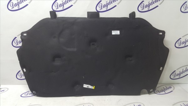 2018 FOCUS KAPUT KEÇESİ (ÇIKMA)