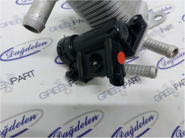 2018 FOCUS ŞANZIMAN YAĞ SOĞUTUCU (K)